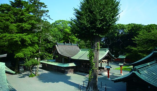 照片画廊图像|福冈宗像美居温泉度假酒店