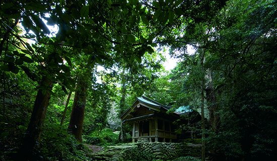 照片画廊图像|福冈宗像美居温泉度假酒店