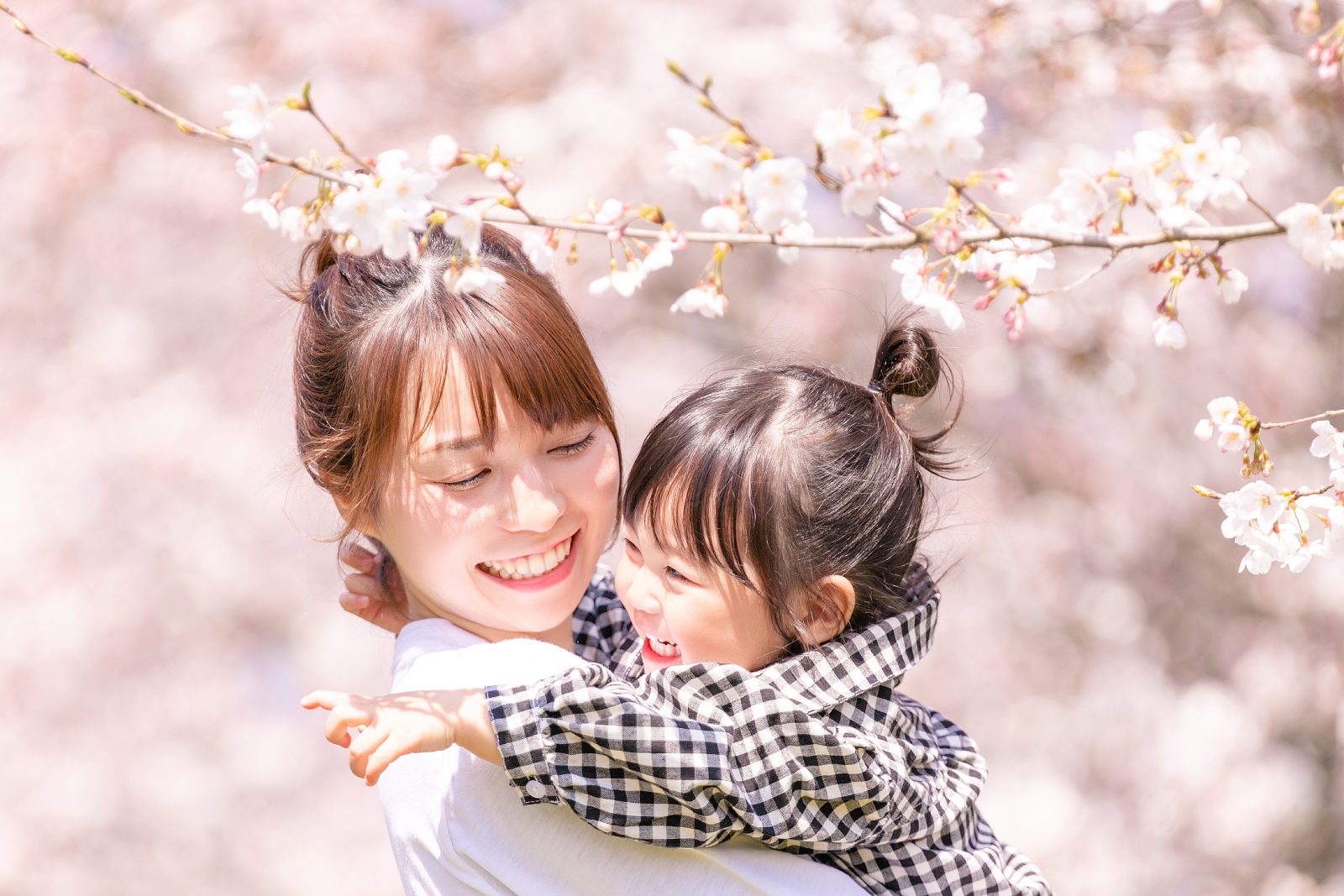 春花烂漫、春天的福冈・宗像旅