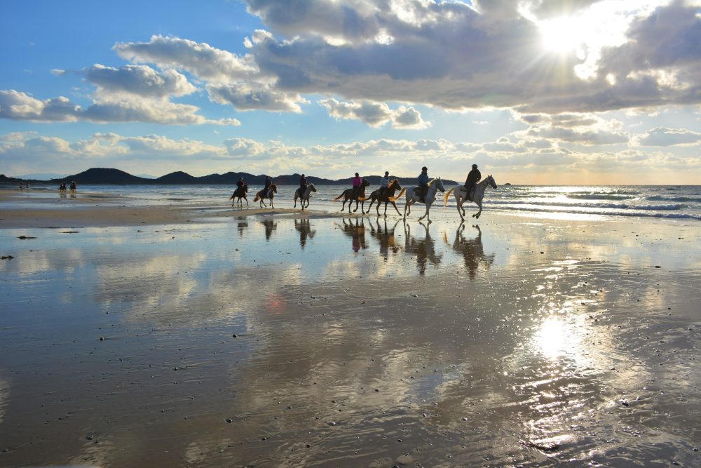 Canadian camp horse riding club