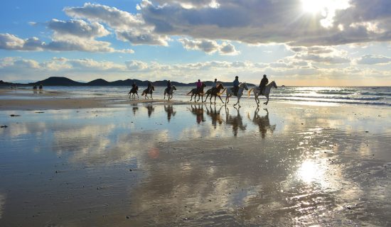 Canadian camp horse riding club