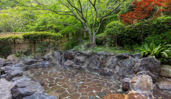 Hot Springs and Public Baths