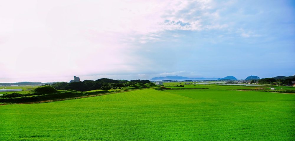 World Heritage Site Niihara-Nuyama Burial Mounds