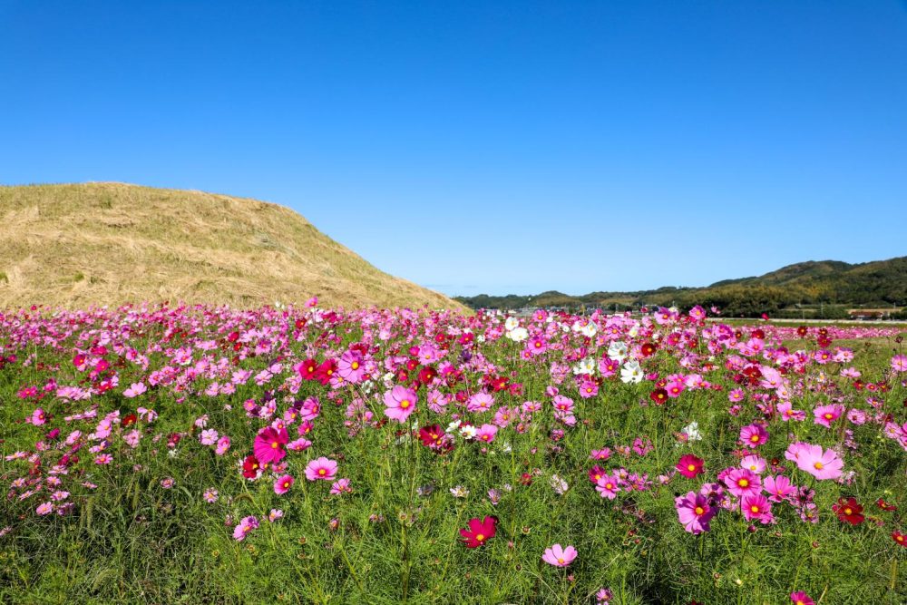Niihara and Nuyama Burial Mounds