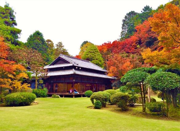 Aso Ouraso Autumn Leaves Special Open