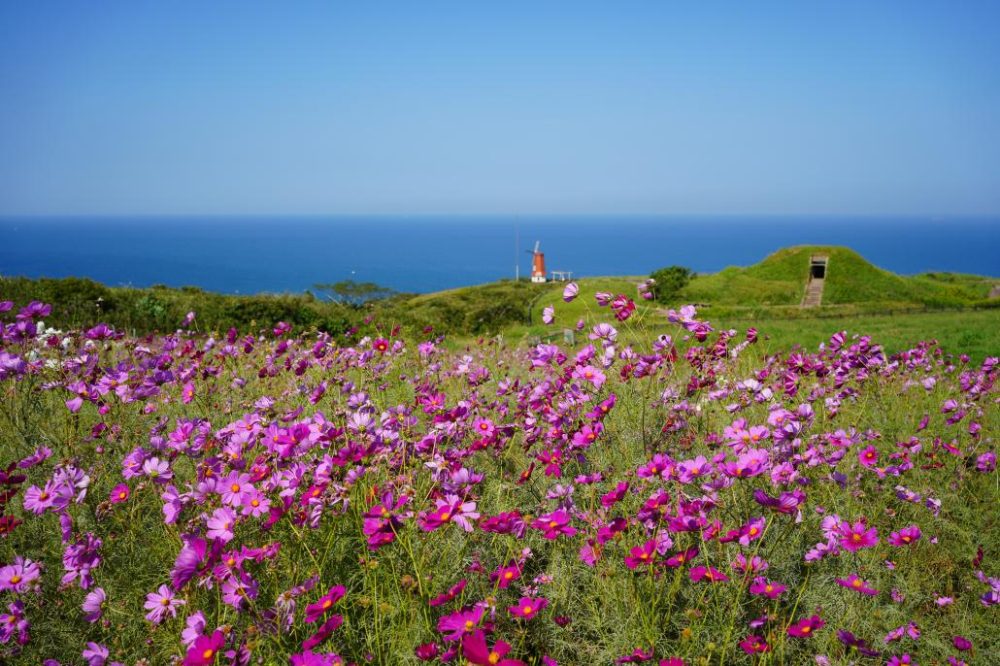 Munakata Oshima Windmill Observatory