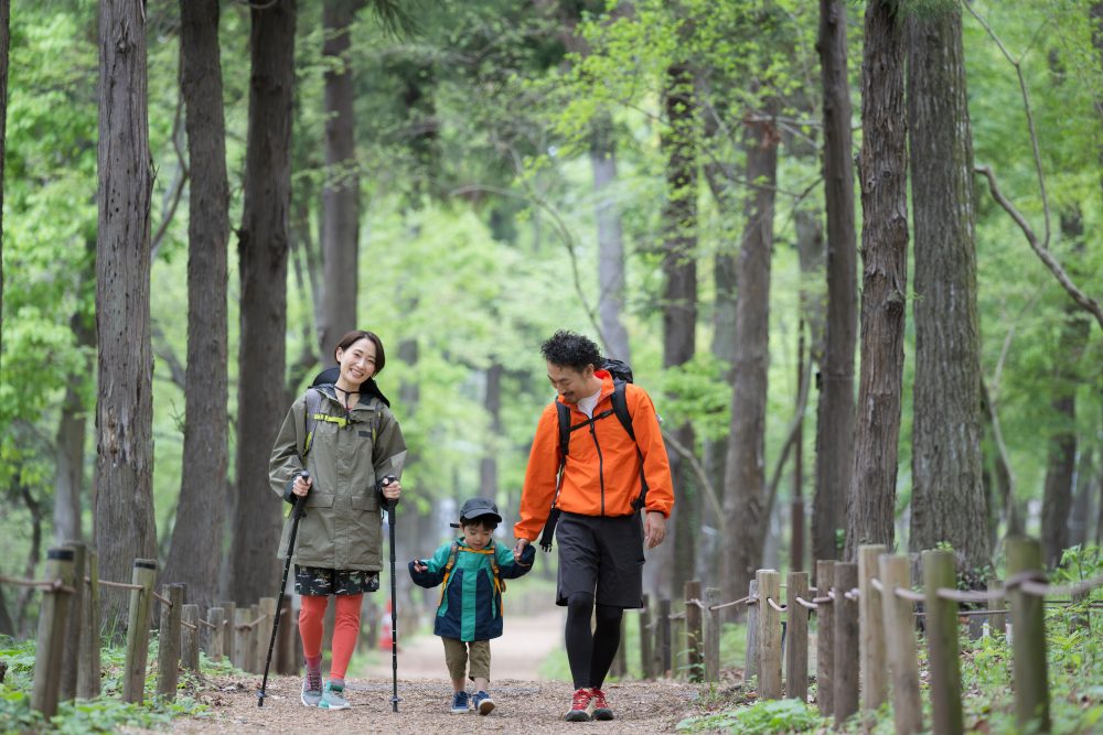 [Recommended in winter] Munakata area for beginners to enjoy <Large mountain climbing>