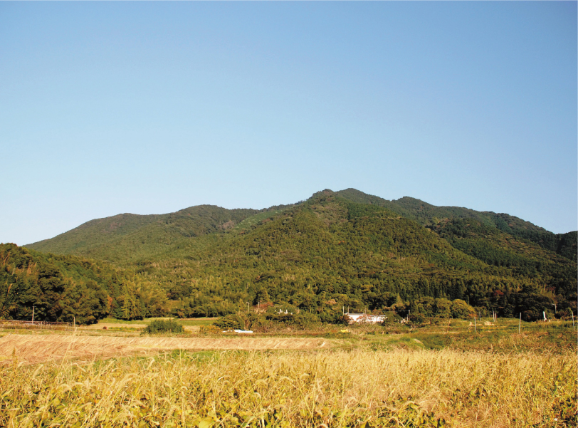 Mt. Kodaiji Temple