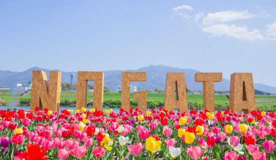 Spring full, spring trip to Fukuoka and Munakata