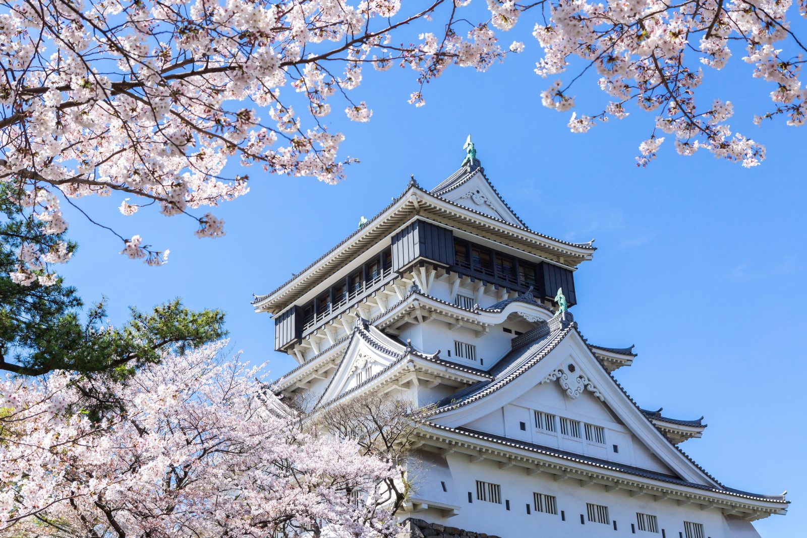 旅遊資訊和活動之首|福岡宗像美居溫泉度假酒店
