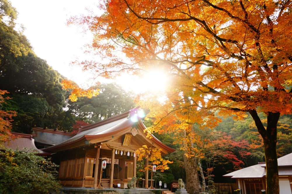 【Autumn】紅葉、絕景推薦景點