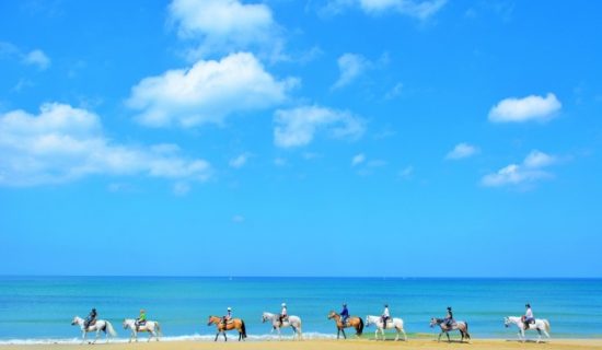 【ビーチ乗馬体験】オールインクルーシブ夕朝食・ラウンジアクセス付