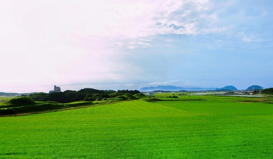 【世界遺産】新原・奴山古墳群