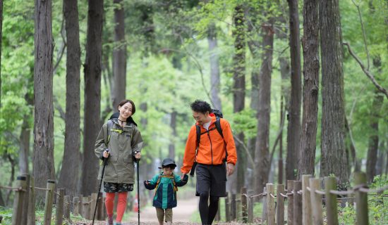 【冬におすすめ】初心者も楽しめる宗像周辺<低山登山>